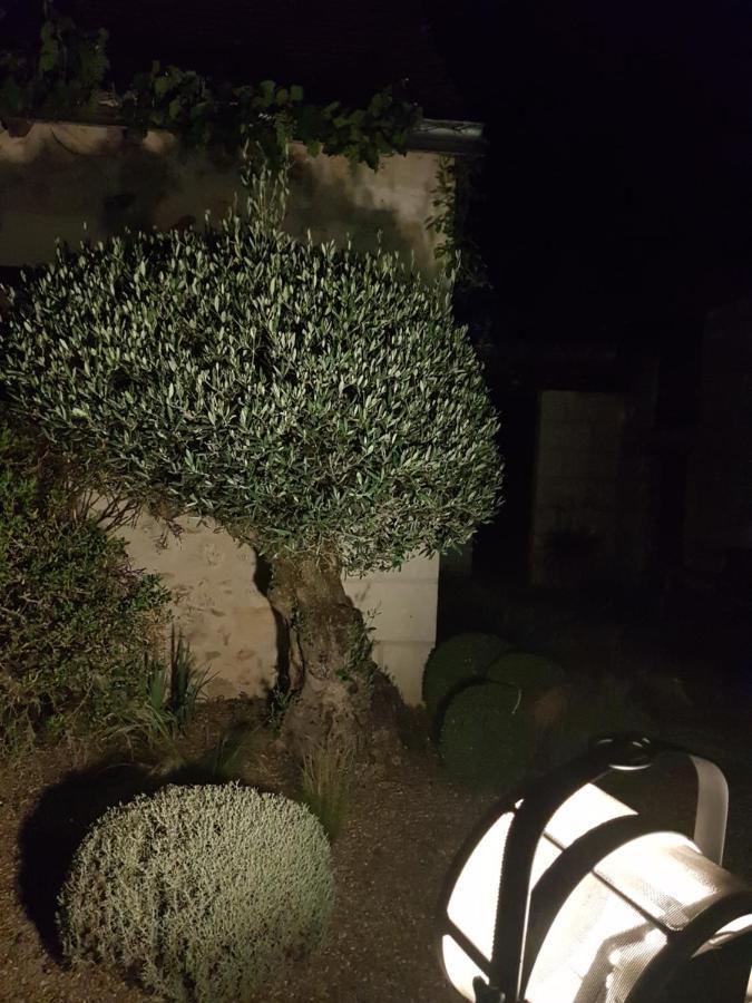 Le Clos Falaw Azay-sur-Cher Luaran gambar