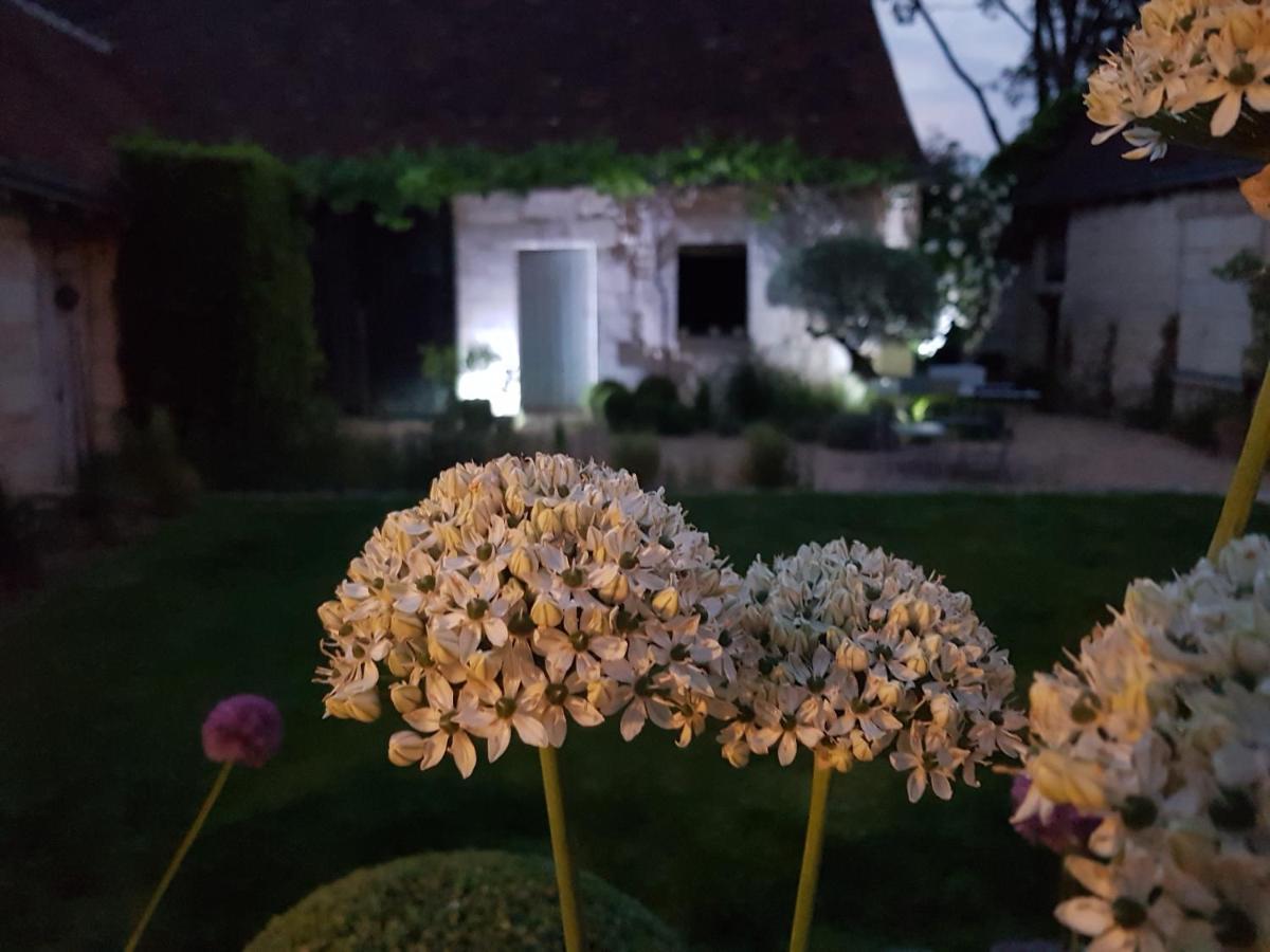 Le Clos Falaw Azay-sur-Cher Luaran gambar